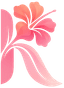 Karysis